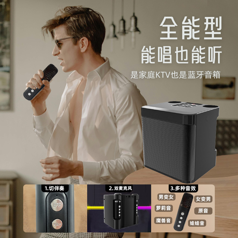 YS203 wireless KTV speaker high power 10w dual microphone KTV all-in-one portable Bluetooth speaker