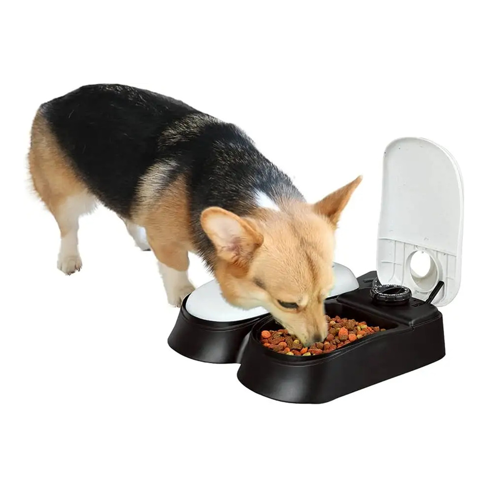Pet Bowl Pet Supplies Smart Timed Cat Feeder Timed Quantitative Feeding Utensil Pet Automatic Feeder