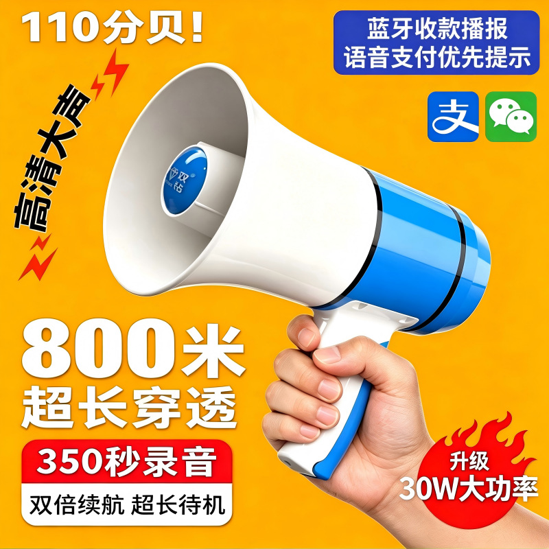Outdoor 30W Handheld Amplifier High Power Rechargeable Recording Lithium Battery Megaphone for Tour Guide Sales Horn