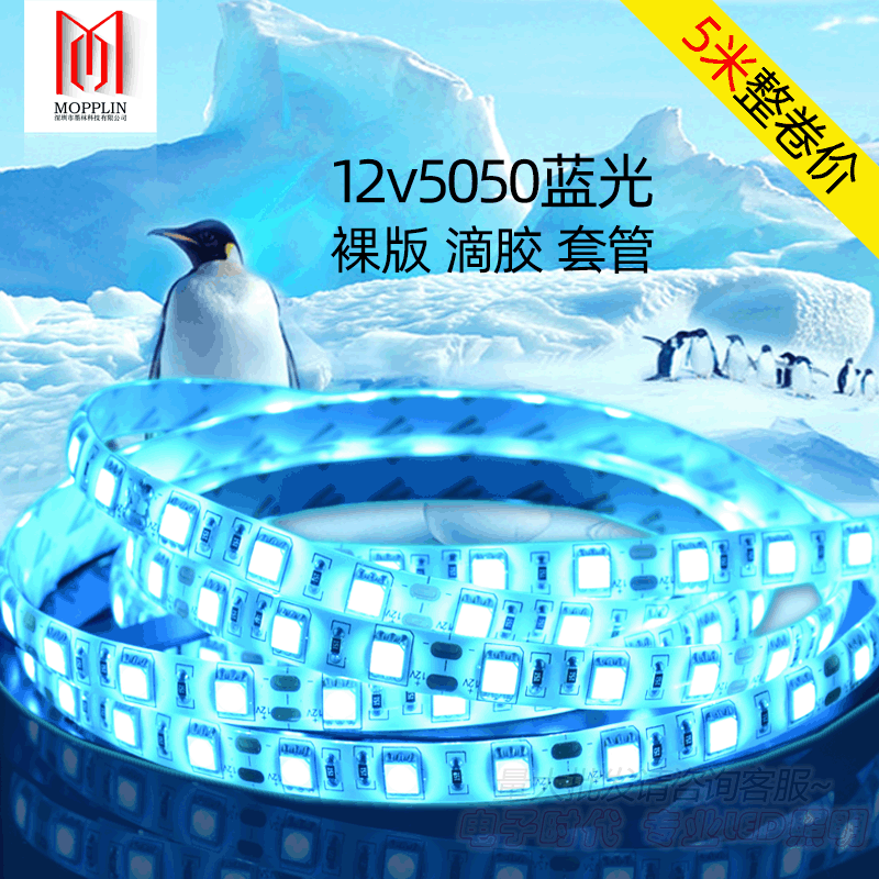 5050 ice blue light strip 12V ice blue LED strip ocean blue soft light strip sky blue SMD soft light strip