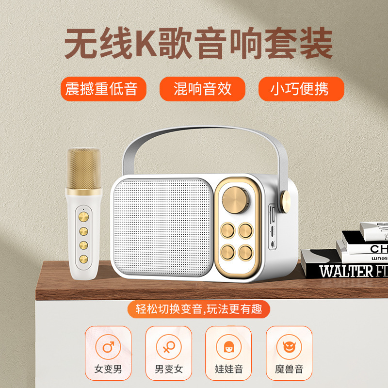 YS103 Mini Microphone Card Speaker Portable Wireless Laptop Karaoke Set Music MINI Speaker