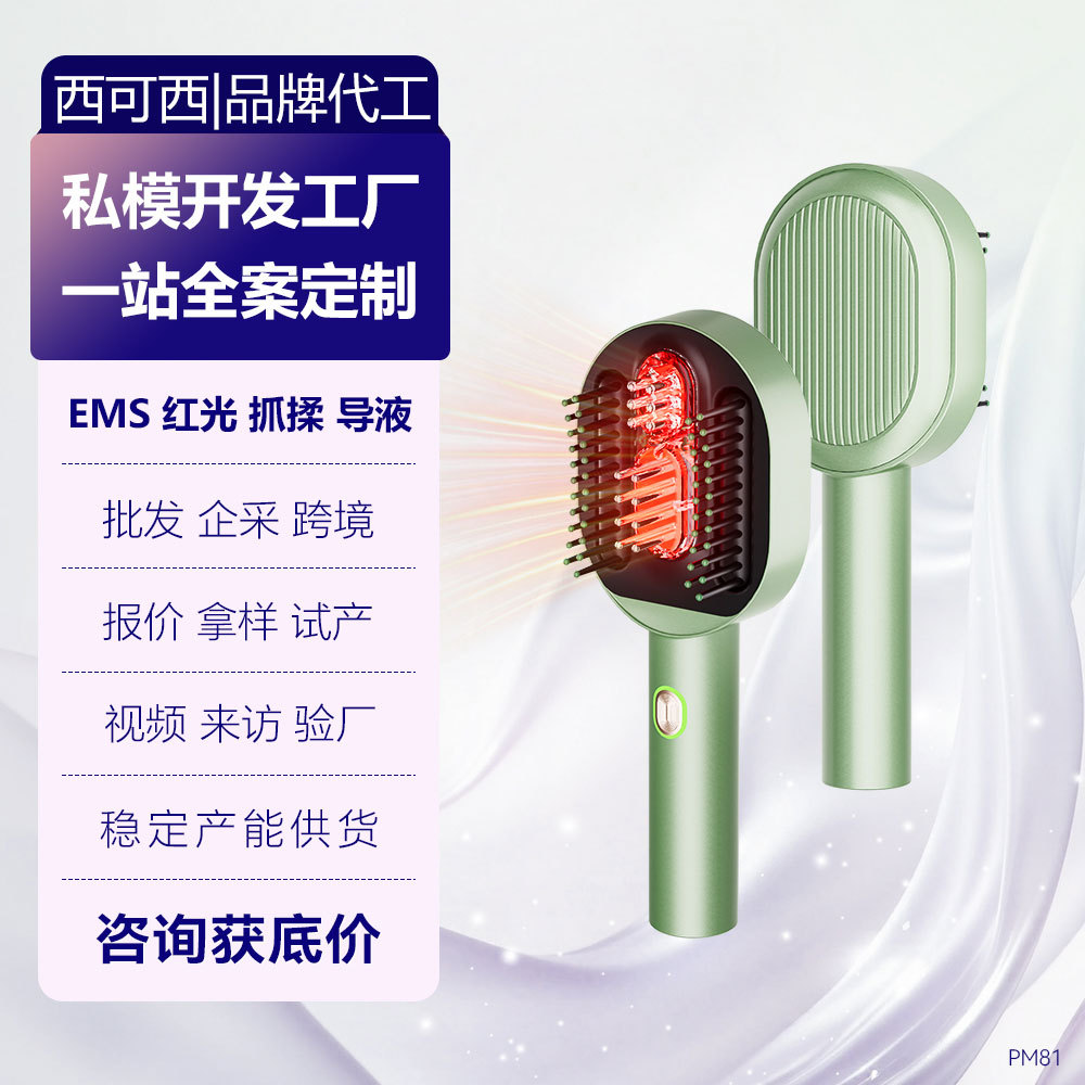 Electric Scalp Massage Comb Massager Vibration Microcurrent EMS Red Light Essential Oil Hair Care Comb Scalp Applicator
