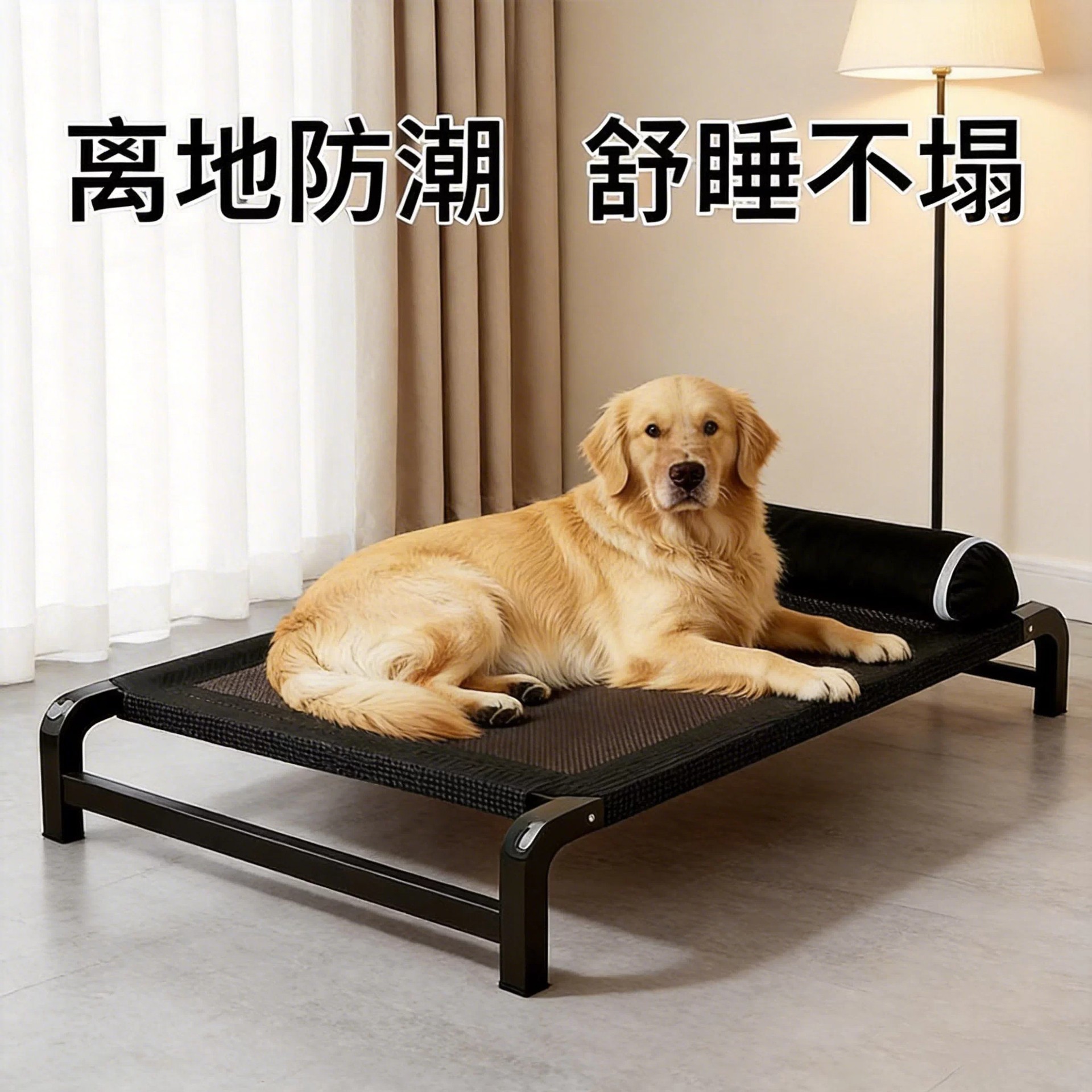 Dog cot bed four-season pet elevated bed with iron frame, mesh pad for small and large dogs