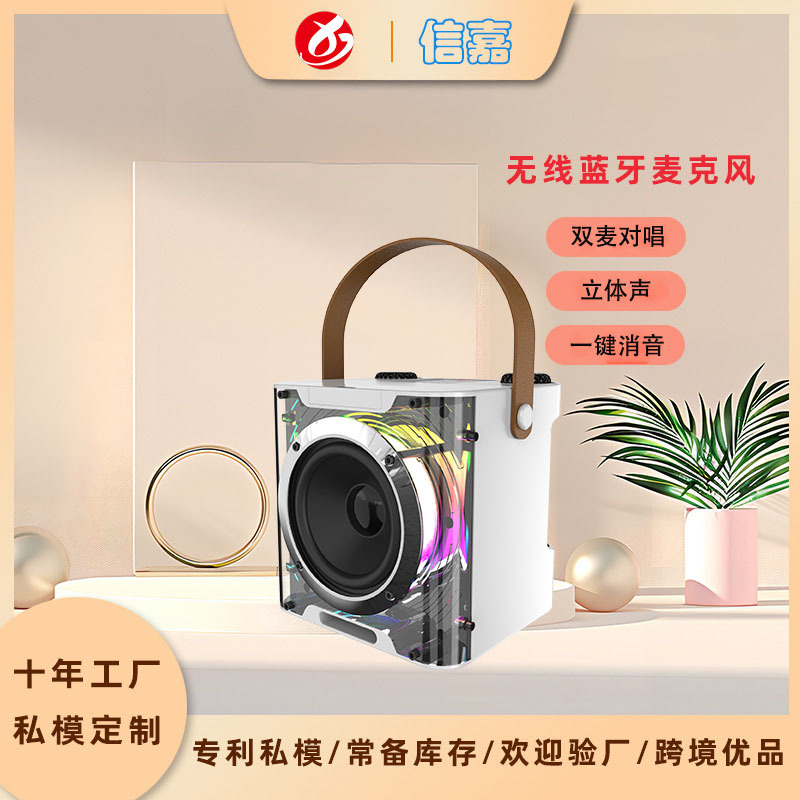 YS210 Bluetooth speaker with microphone high power wireless outdoor KTV Bluetooth speaker A829