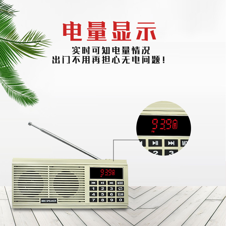 L-518 New Dual-Band Radio for Elderly Portable Card Insert MP3 FM/AM Dual Speaker