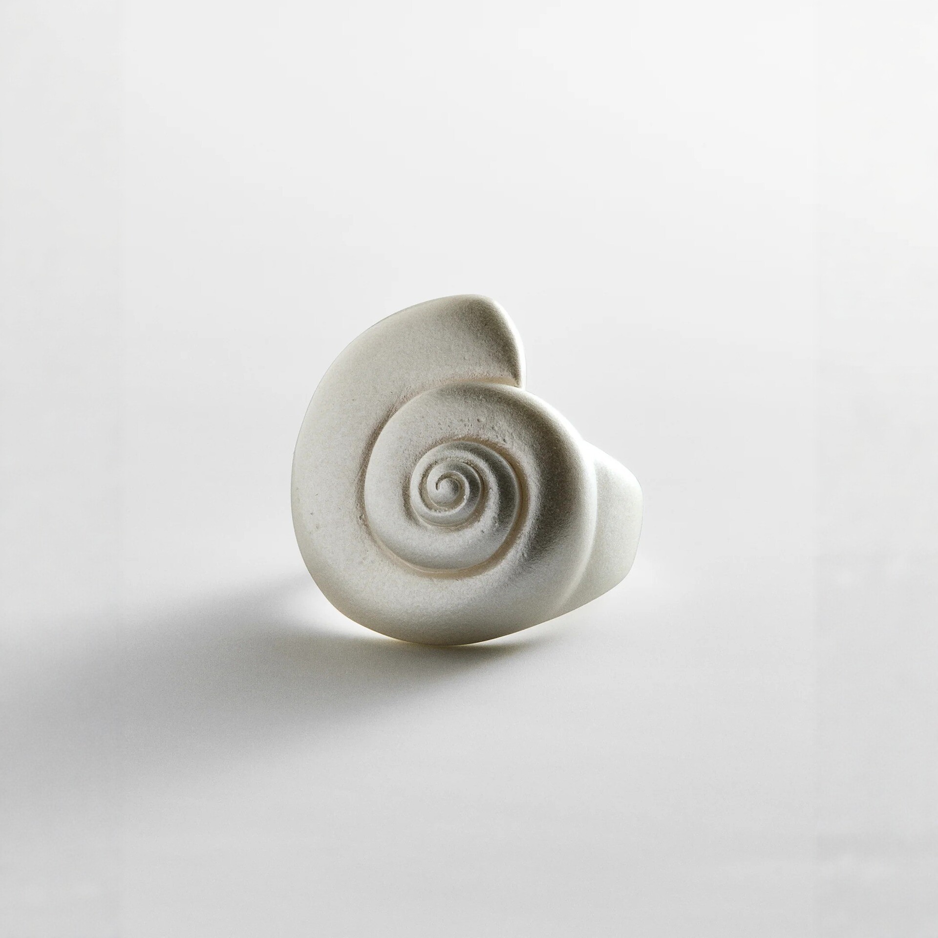 New Shell Spiral Ring Women's Fashion Accessories