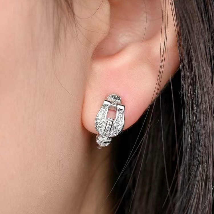 Horseshoe Buckle Ear Studs Women's Unique Exquisite Zircon Earrings 2024 New Ear Accessories