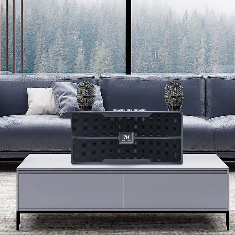 YS201 Wireless Bluetooth KTV Small Speaker Rock Bass Small Cannon Speaker Dual Microphone All-in-One Home Set