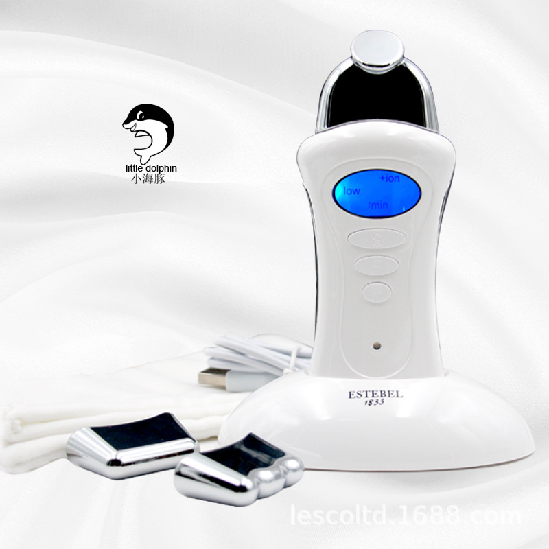 Facial Beauty Instrument Import and Export Nutrition Face Device Wrinkle Skin Care Microcurrent Beauty Import Instrument