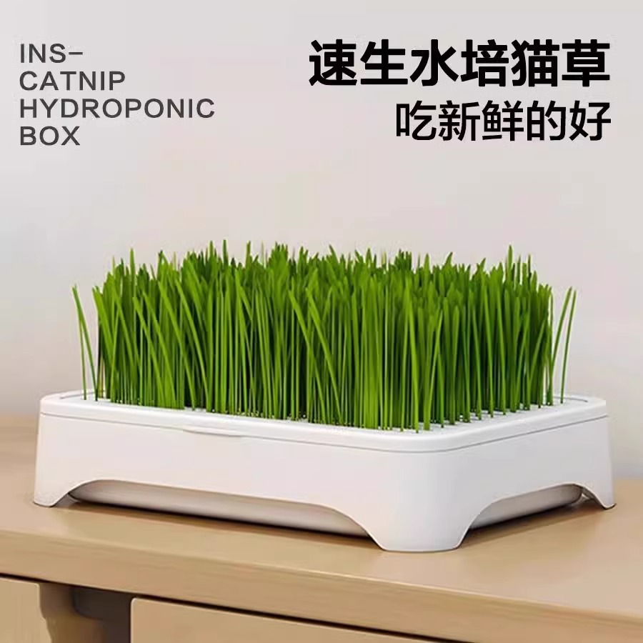 Soilless Hydroponic Cat Grass Potted Plant, Hairball Removal, Lazy Planting, Cat Grass Seeds, Seedling Tray, Hairball Grass, Pet Supplies
