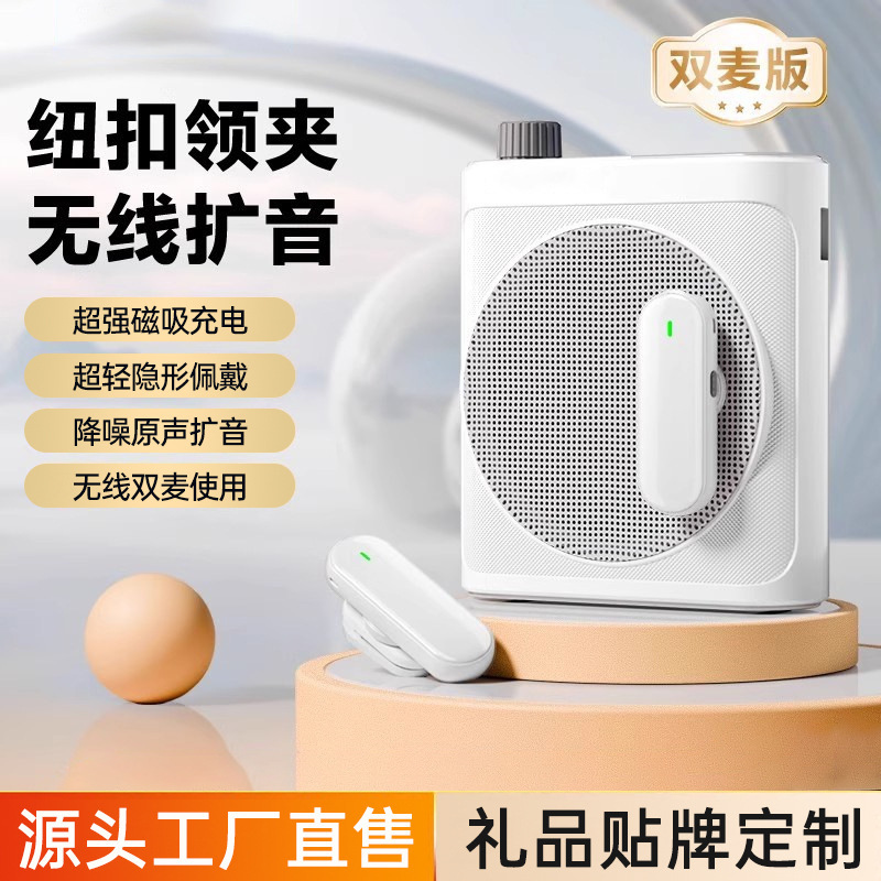 Custom Bee Speaker Amplifier Clip-on Loud Volume Amplifier Sales Portable Wireless Amplifier Teacher