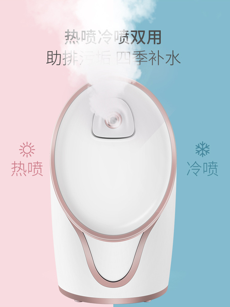 Cold and hot spray facial steamer hydrating beauty device home use ion spray facial steamer face steaming device