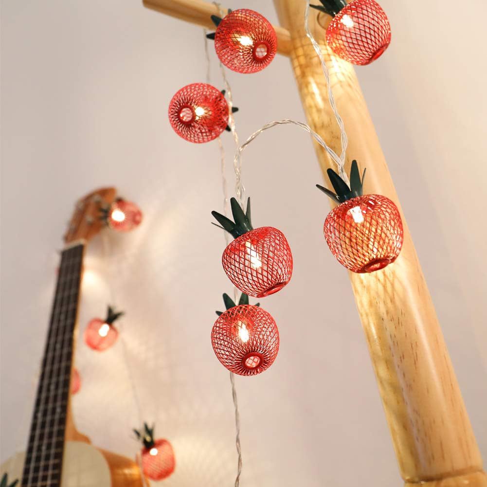 Grid Apple Light String USB Christmas Birthday Party Room Courtyard Decorative Lights Fruit Light String