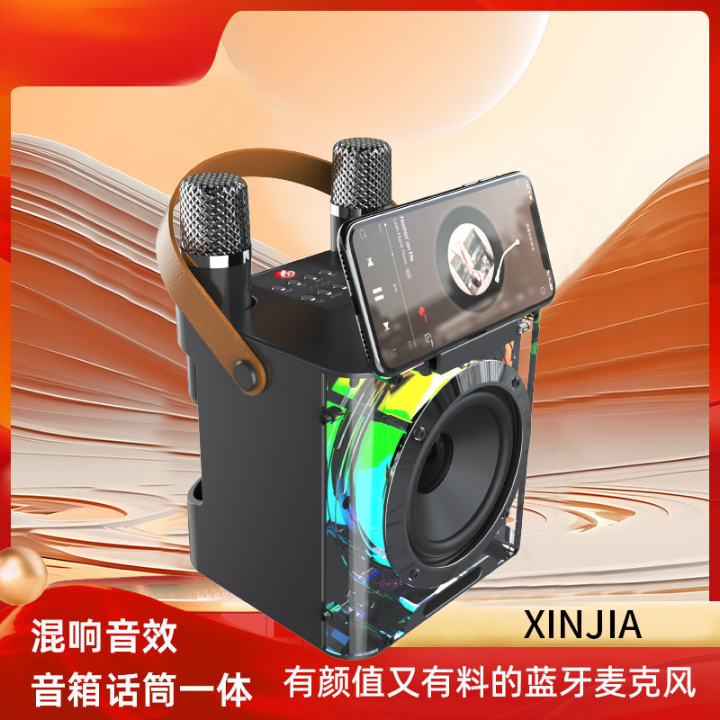 Private mold YS-308 KTV Bluetooth speaker with microphone children YS203 colorful portable outdoor desktop Bluetooth speaker