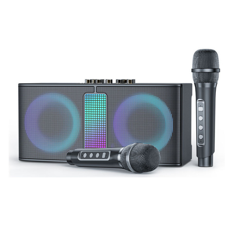YS212 High Power Amplifier Integrated Recording KTV All-in-One Dual Mic Home Bluetooth Speaker