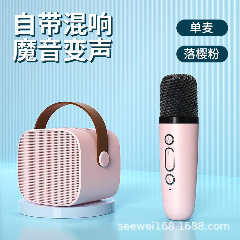 Portable Bluetooth speaker home wireless karaoke speaker microphone outdoor singing small home KTV