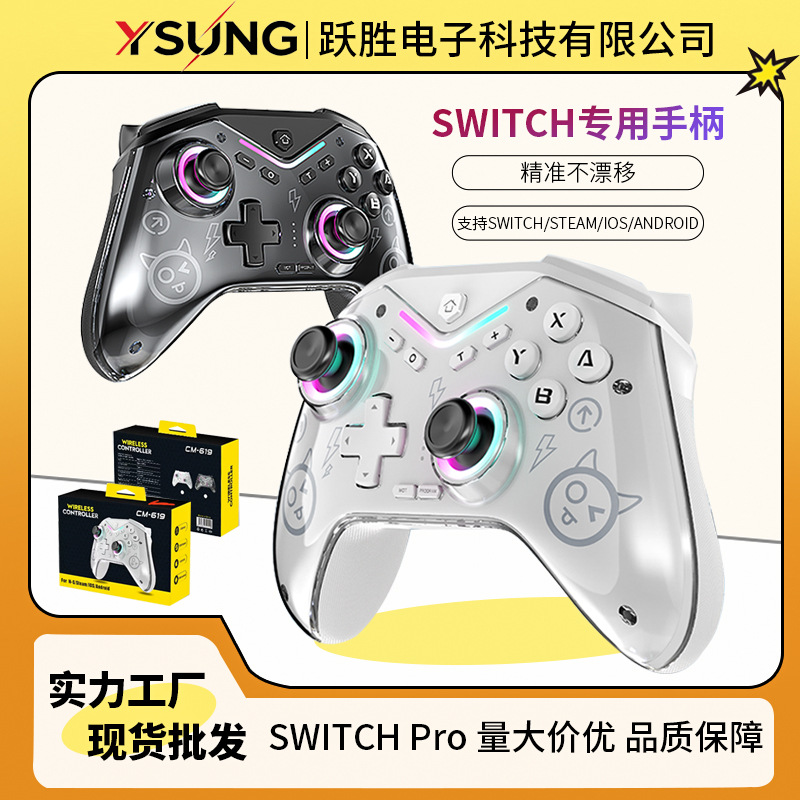 Private Mold SWITCH PRO Programmable Game Controller Switch Glow with Wake-Up Wireless Bluetooth Controller