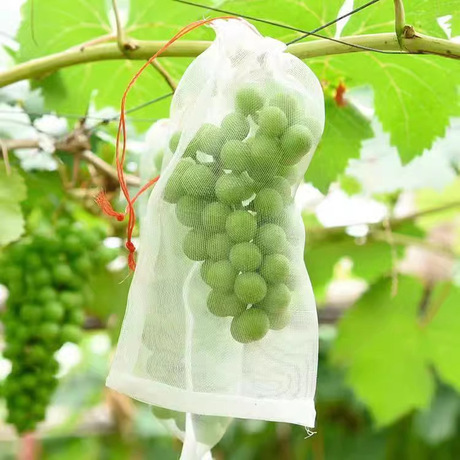 Outdoor binding wire non-woven grape bag pomelo pear fruit protection bag insect-proof bird-proof rain-proof fruit bag
