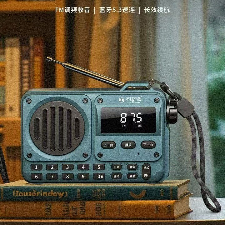 BUBUJIAN SAN BV800P Mini Bluetooth Speaker Portable Elderly Radio Multifunctional Card Slot Small Audio