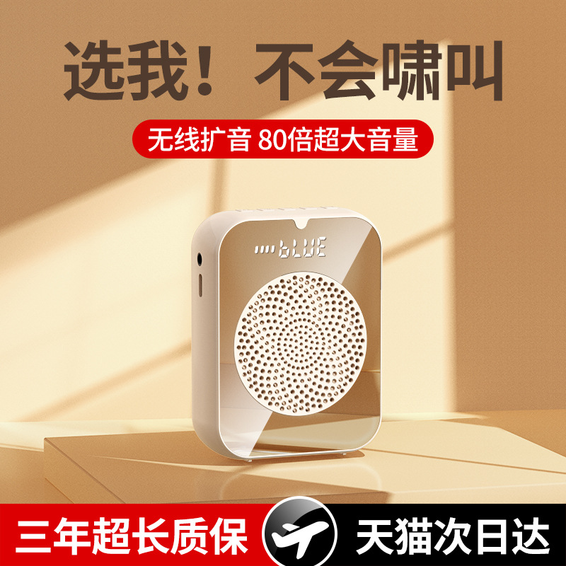 Little Bee Amplifier Teacher Special Speaker Wireless Microphone Headset for Teaching Tour Guide Announcer