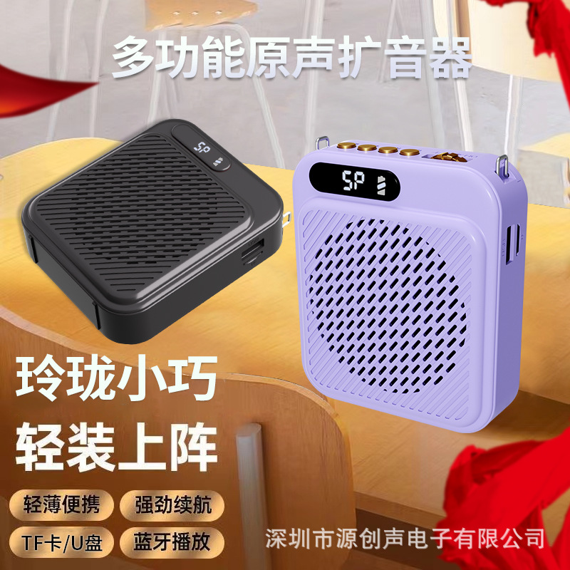 New Dual Mic Teacher Teaching Bee Amplifier Plug-in Card U Disk Bluetooth Player Tour Guide Loudspeaker