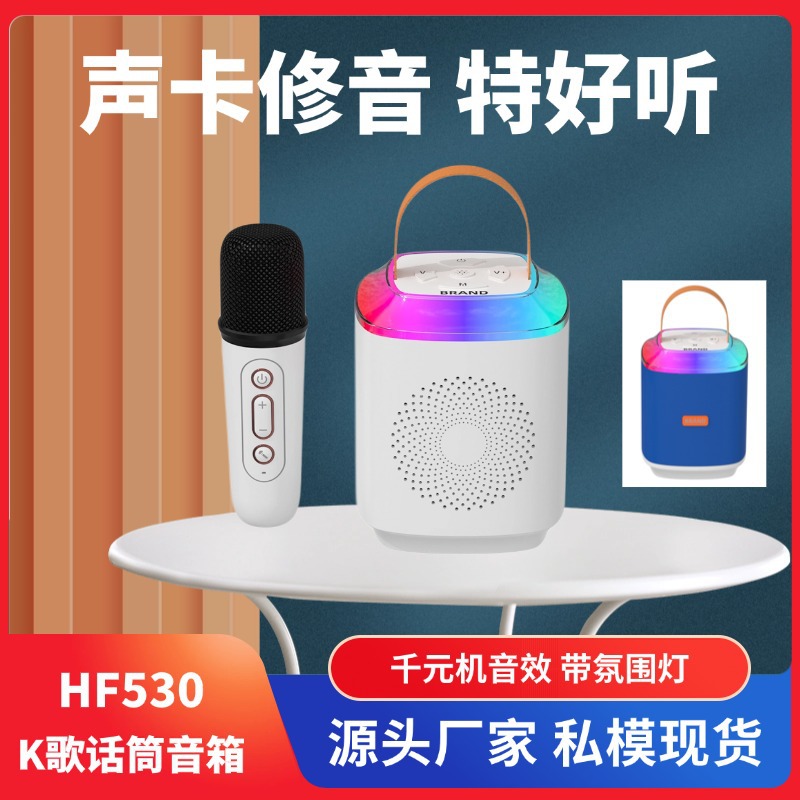Private Mold K Song Speaker Microphone All-in-One Portable Audio Wireless Bluetooth Karaoke Children Gift