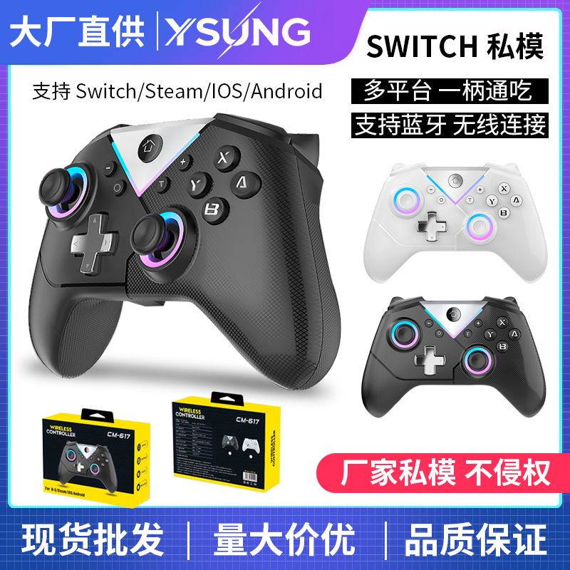 Private Mold RGB Glow with Wake-Up Six-Axis Motion Sensing Macro Editing PC Android Switch Game Controller