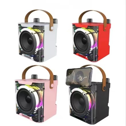 YS203 Bluetooth Speaker Home TV KTV All-in-One Set Dual Microphone A829 Bluetooth Speaker
