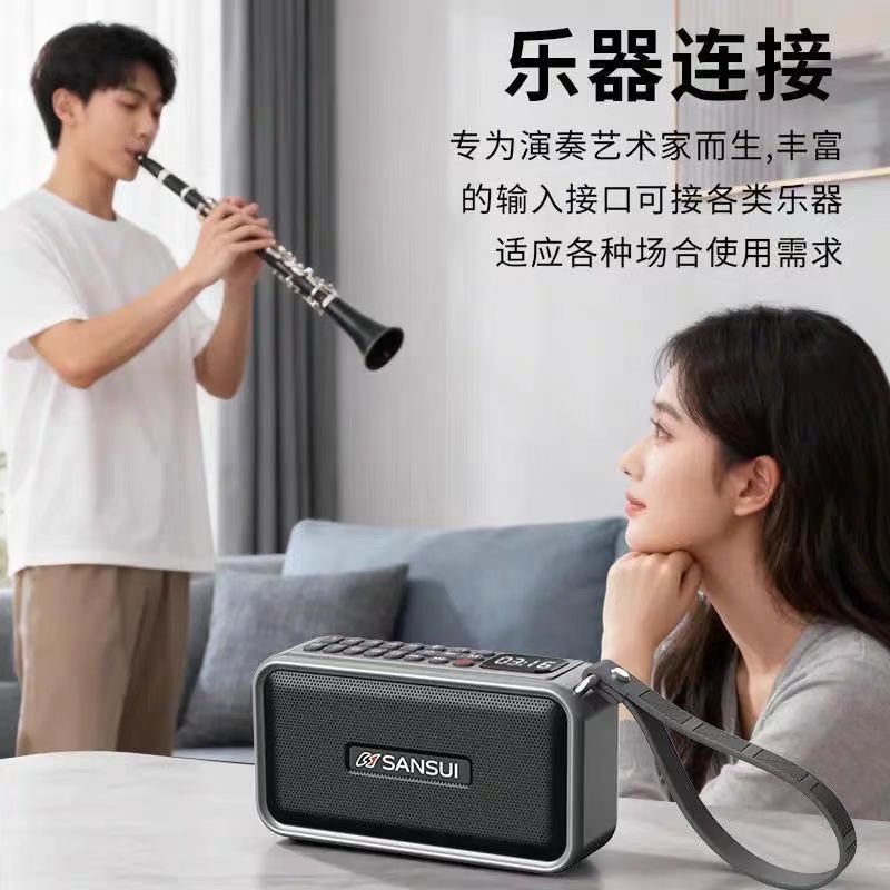 Shanshui A100 Instrument Speaker Bluetooth Speaker Plug-in Portable Bluetooth Transmitter Receiver Small Speaker