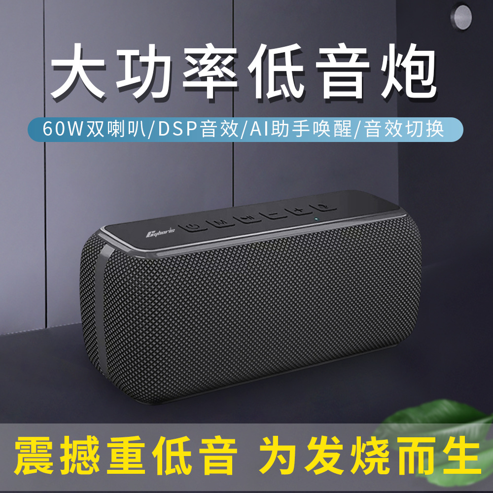 Cyboris 60W High Power Bluetooth 5.3 Heavy Bass Subwoofer Outdoor Waterproof Portable DSP Card TWS Speaker