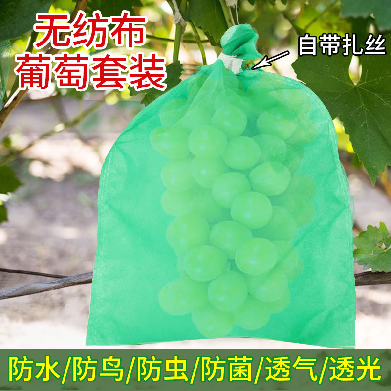 Binding wire grape bag green sunshine rose special breathable bird-proof non-woven grape bag fruit bag