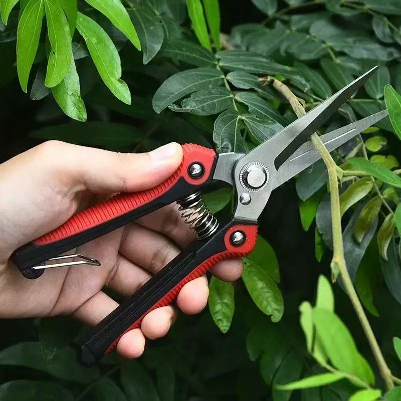 Garden pruning shears picking fruit tree branch bonsai tool scissors fruit picking shears