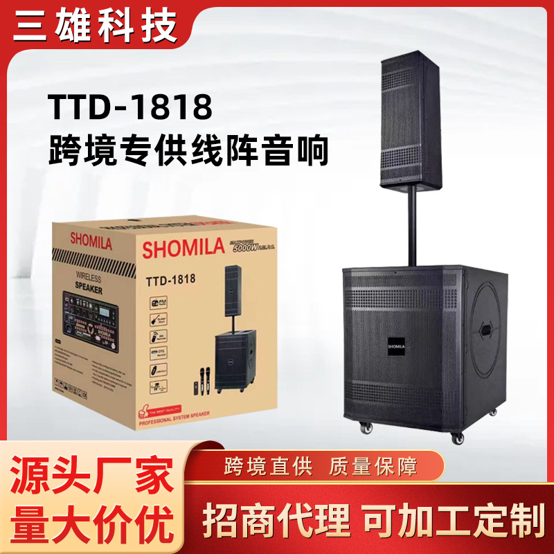Line Array Speaker TTD-1818 Column Type Performance High Power Dual Microphone Bluetooth Outdoor Speaker