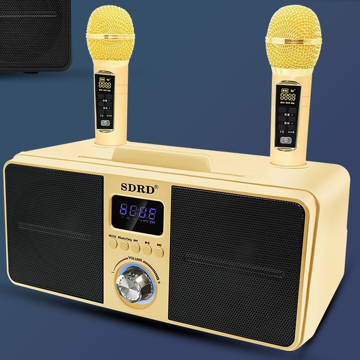 SD309 Wireless Dual Microphone Bluetooth Speaker Singing All-in-One Outdoor Portable High-Power K-Song Machine