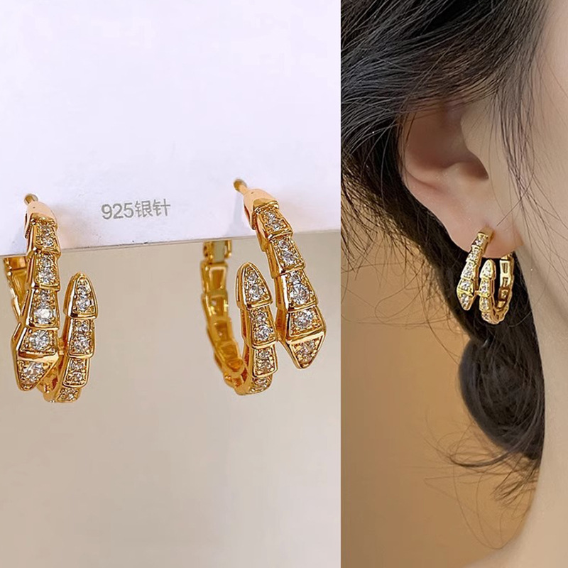 Snake Shape Zircon Earrings Ear Studs 2023 New Earrings for Women